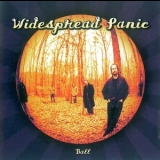 Widespread Panic - Ball '2003 - Album