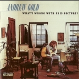 Andrew Gold - What's Wrong With This Picture? '1976