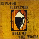 13th Floor Elevators - Bull Of The Woods '1968