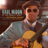 Raul Midon - If You Really Want [Hi-Res] '2018