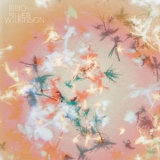 Bibio - Silver Wilkinson '2013