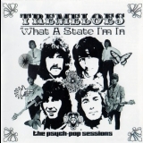 The Tremeloes - What A State I'm In '2003