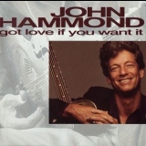 John Hammond - Got Love If You Want It '1992