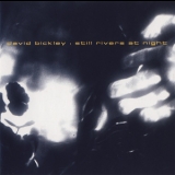David Bickley - Still Rivers At Night '2006
