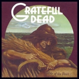 Grateful Dead - Wake Of The Flood '1973