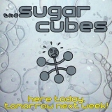 The Sugarcubes - Here Today, Tomorrow Next Week! '1989