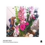 Wicca Phase Springs Eternal - Secret Boy '2018