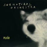 Surnatural Orchestra - Pluir '2012