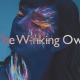 The Winking Owl - Into Another World '2017
