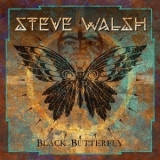 Steve Walsh - Black Butterfly '2017
