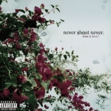 Never Shout Never - What Is Love? '2010