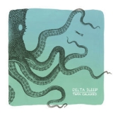 Delta Sleep - Twin Galaxies '2016