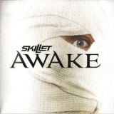 Skillet - Awake '2009