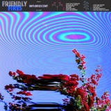Friendly Fires - Inflorescent '2019