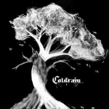 Coldrain - Walking With The Forgotten '2013