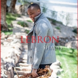 Lebron - Shades '2013