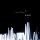 Assemblage 23 - Binary '2007