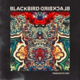 Blackbird Blackbird - Tangerine Sky '2014
