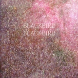 Blackbird Blackbird - Summer Heart '2010