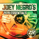 Joey Negro - Joey Negro's 2019 Essentials [Hi-Res] '2019