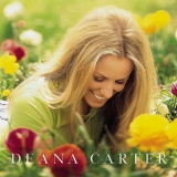 Deana Carter - Did I Shave My Legs For This? '1996