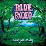 Blue Rodeo - Are You Ready '2005