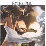 Melidian - Lost In The Wild (epic 465424 2) '1989