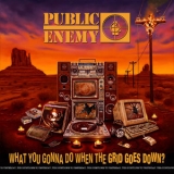 Public Enemy - What You Gonna Do When The Grid Goes Down? '2020