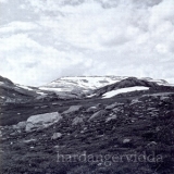 Ildjarn-nidhogg - Hardangervidda '2002