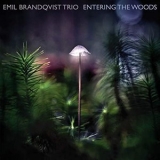 Emil Brandqvist Trio - Entering the Woods '2020