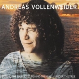 Andreas Vollenweider - Behind the Gardens, Behind the Wall, Under the Tree... '1981
