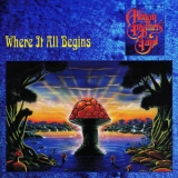 The Allman Brothers Band - Where It All Begins '1994