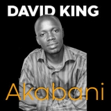 David King - Akabani '2012
