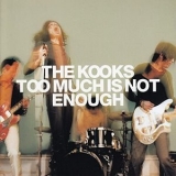 The Kooks - Too Much Is Not Enough '1999