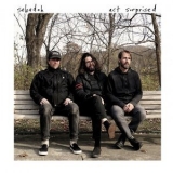 Sebadoh - Act Surprised '2019