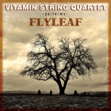 Vitamin String Quartet - Vsq Performs Flyleaf '2008