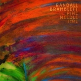 Randall Bramblett - Pine Needle Fire '2020