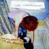 Los Campesinos! - We Are Beautiful, We Are Doomed '2008