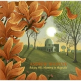 Andrew Wasylyk - Balgay Hill: Morning in Magnolia '2021 - Album