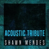 Guitar Tribute Players - Acoustic Tribute to Shawn Mendes (Instrumental) '2018