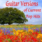 Steve Petrunak - Guitar Versions of Current Pop Hits '2018