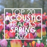 Guitar Tribute Players - Top 20 Acoustic Tracks Spring 2021 (Instrumental) '2021 - Album