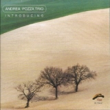 Andrea Pozza Trio - Introducing '2003
