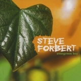 Steve Forbert - Evergreen Boy '1999 - Album