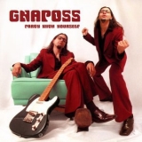 Gnaposs - Party with Yourself '2007 - Album