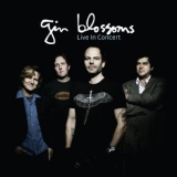 Gin Blossoms - Live In Concert '2009