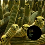 Luke Vibert - We Hear You '2009