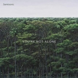 Semisonic - You're Not Alone '2020