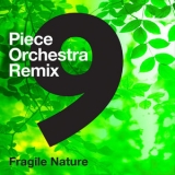 Laurent Dury - 9-Piece Orchestra Remix - Fragile Nature '2020