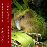 Merzbow - Kakapo '2016